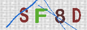 キャプチャ画像