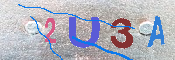 キャプチャ画像