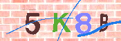 キャプチャ画像