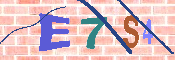 キャプチャ画像