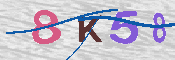 キャプチャ画像