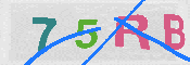 キャプチャ画像