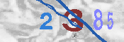キャプチャ画像