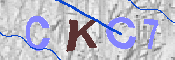 キャプチャ画像