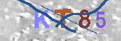 キャプチャ画像