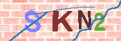 キャプチャ画像