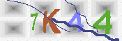 キャプチャ画像