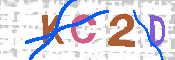 キャプチャ画像