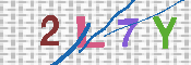 キャプチャ画像