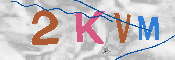 キャプチャ画像