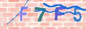 キャプチャ画像