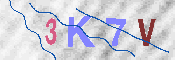 キャプチャ画像