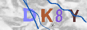 キャプチャ画像