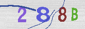 キャプチャ画像