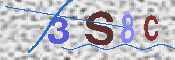 キャプチャ画像