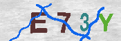 キャプチャ画像