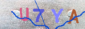 キャプチャ画像