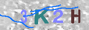 キャプチャ画像
