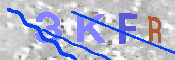 キャプチャ画像