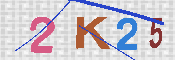 キャプチャ画像