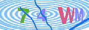 キャプチャ画像