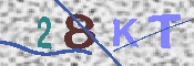 キャプチャ画像