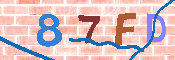 キャプチャ画像