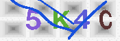 キャプチャ画像