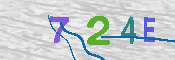キャプチャ画像