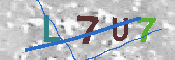 キャプチャ画像