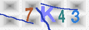 キャプチャ画像