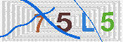 キャプチャ画像