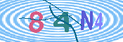 キャプチャ画像