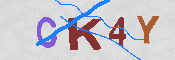 キャプチャ画像