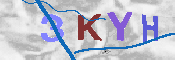キャプチャ画像
