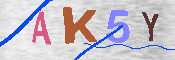 キャプチャ画像