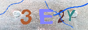 キャプチャ画像