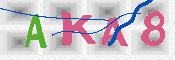 キャプチャ画像