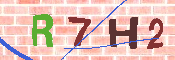 キャプチャ画像