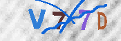 キャプチャ画像