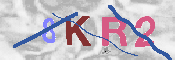 キャプチャ画像