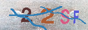 キャプチャ画像