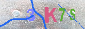 キャプチャ画像