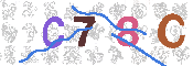 キャプチャ画像