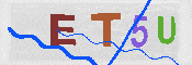 キャプチャ画像