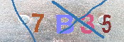 キャプチャ画像