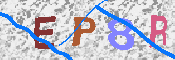 キャプチャ画像