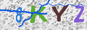 キャプチャ画像