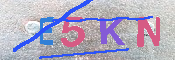 キャプチャ画像