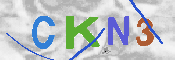 キャプチャ画像